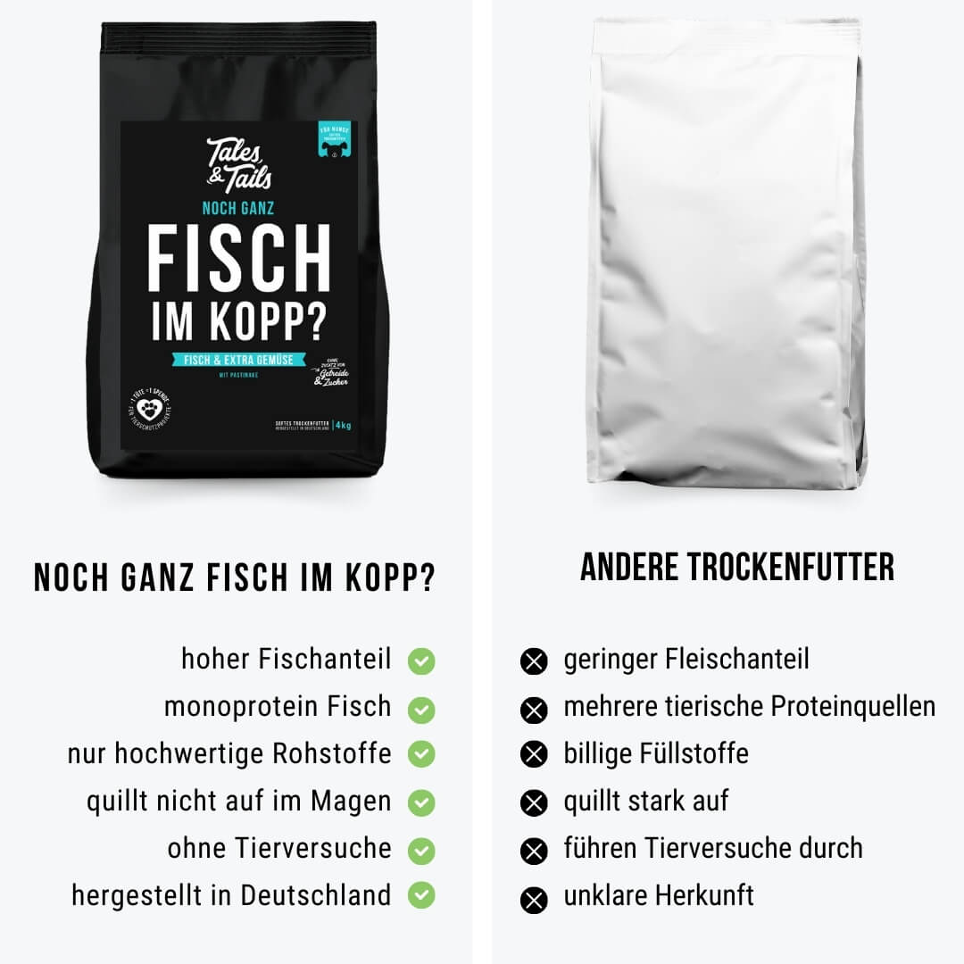 Noch ganz Fisch im Kopp?