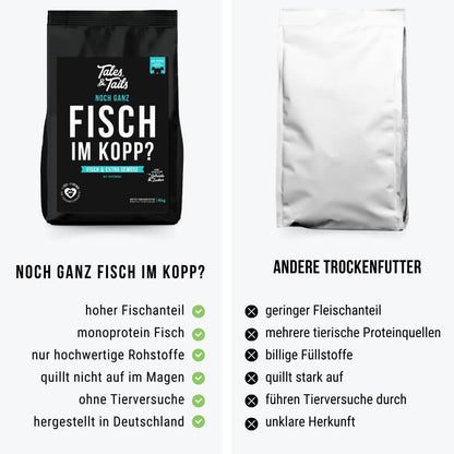 Noch ganz Fisch im Kopp?