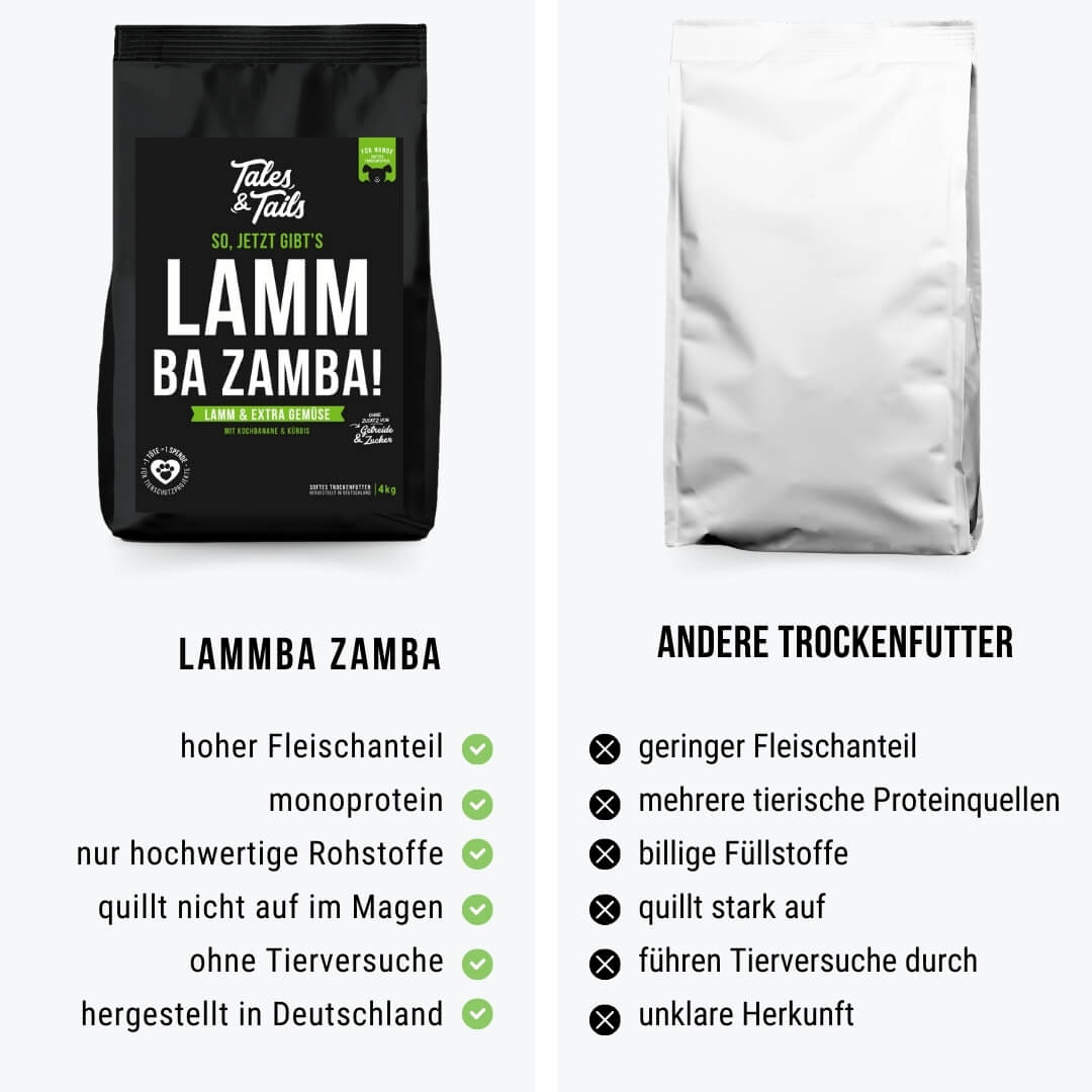 LammBa Zamba!