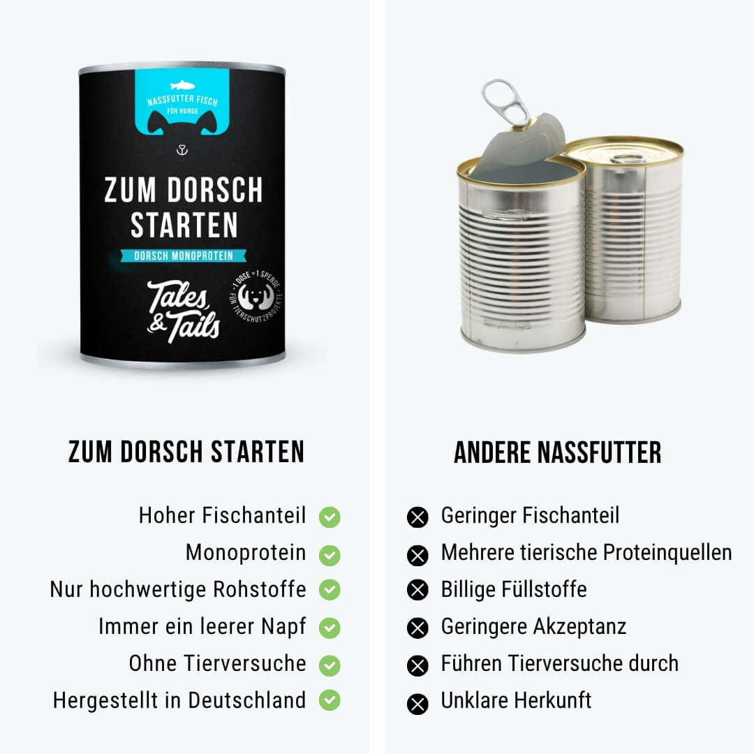Zum Dorschstarten