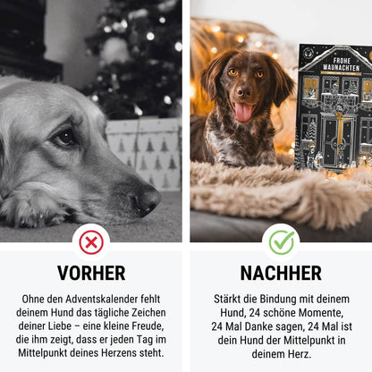 Adventskalender für Hunde