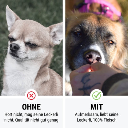 Ich verlier die BeHIRSCHung