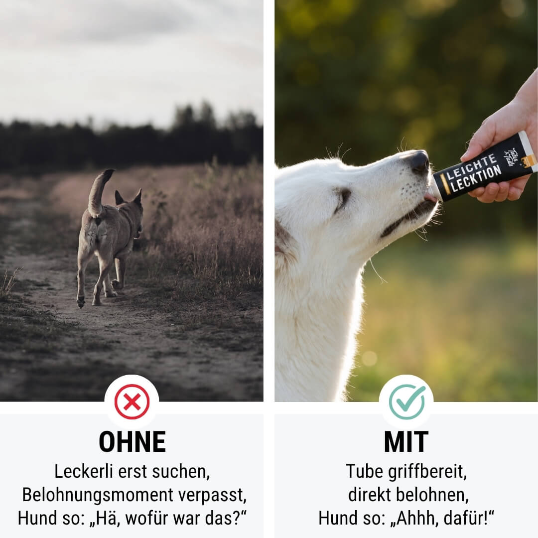 Leichte LeckTion