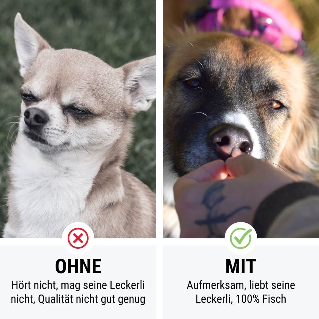 Lachs doch mal - 250g