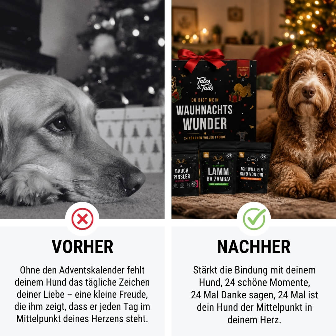 Wauhnachts-Wunder - Adventskalender