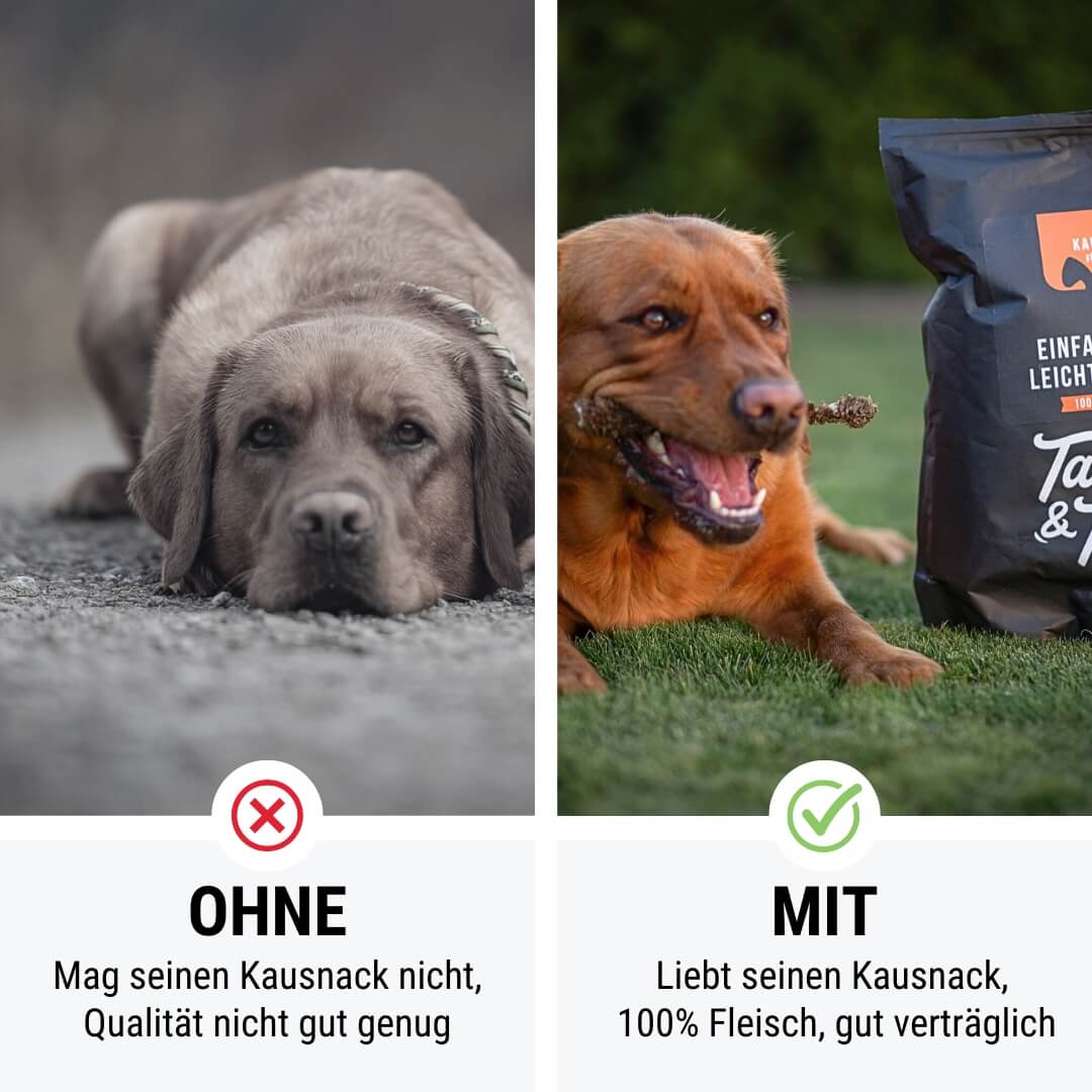 Einfach RinderLeicht genießen