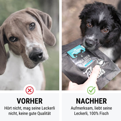 Ich dreh Dorsch