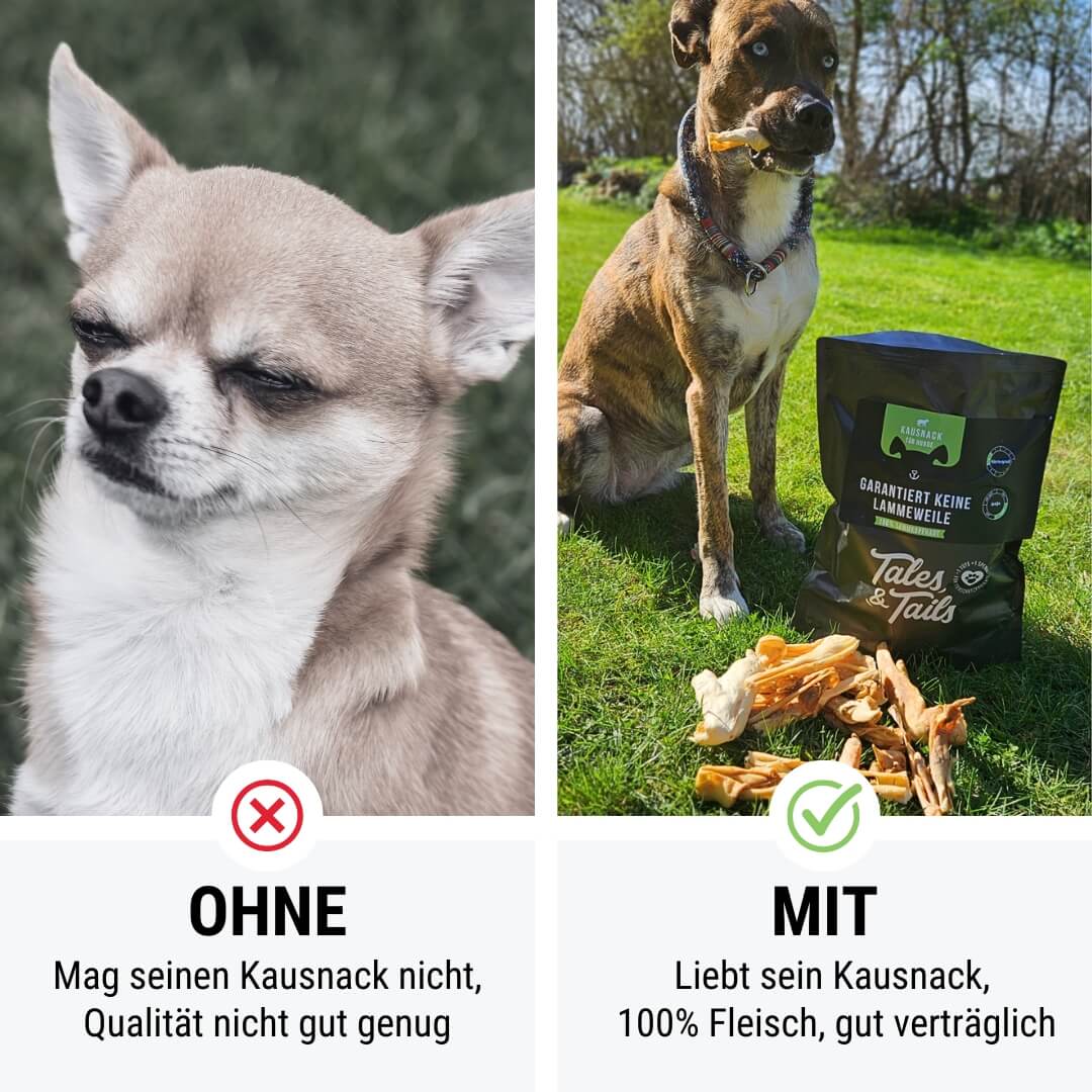 Garantiert keine Lammeweile