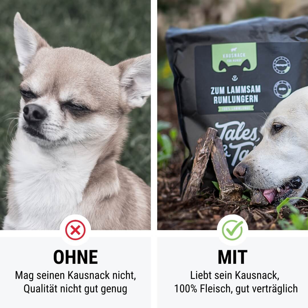 Zum LammSam Rumlungern