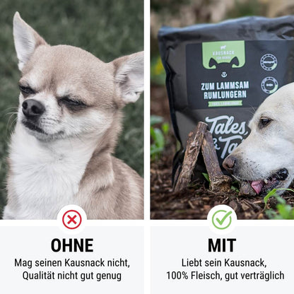 Zum LammSam Rumlungern