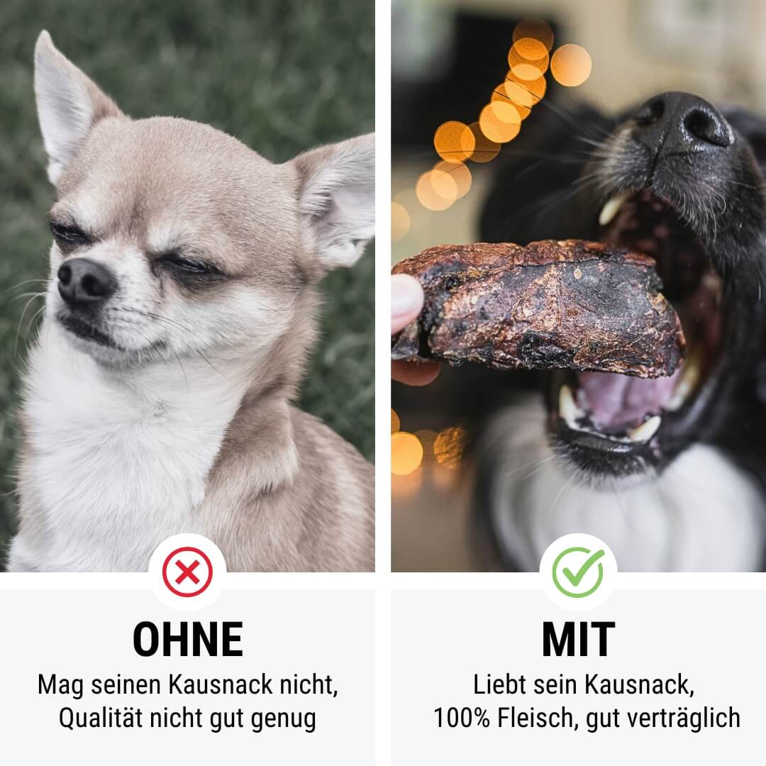 PferdAbredung zum Rumlungern