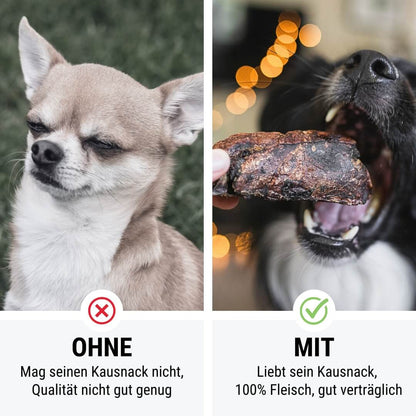 PferdAbredung zum Rumlungern