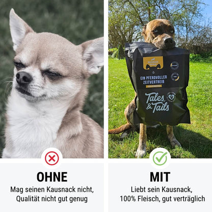 Ein PferdVoller Zeitvertreib