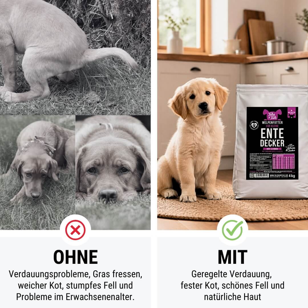 Für kleine EnteDecker