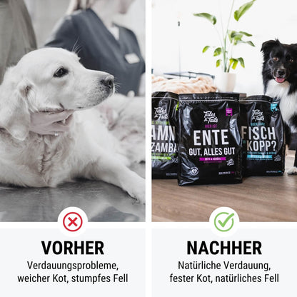 Zweier Paket Trockenfutter 4kg