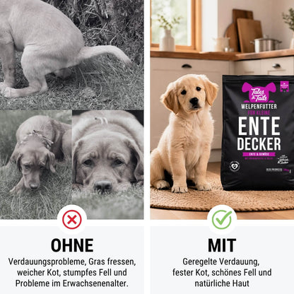 Probe Für kleine EnteDecker