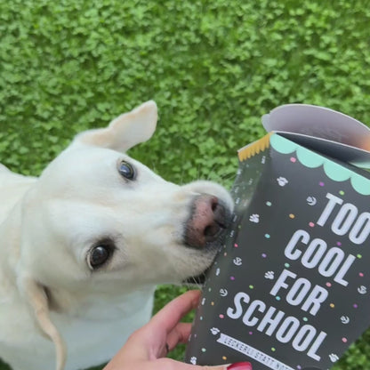 Too cool for School
