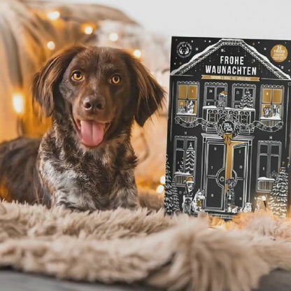 Adventskalender für Hunde