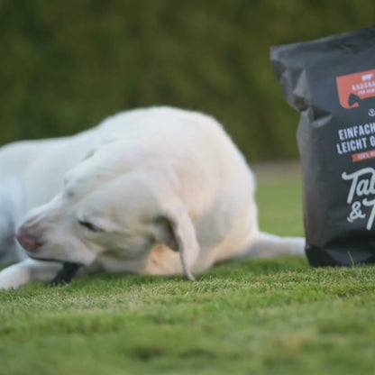 Einfach RinderLeicht genießen