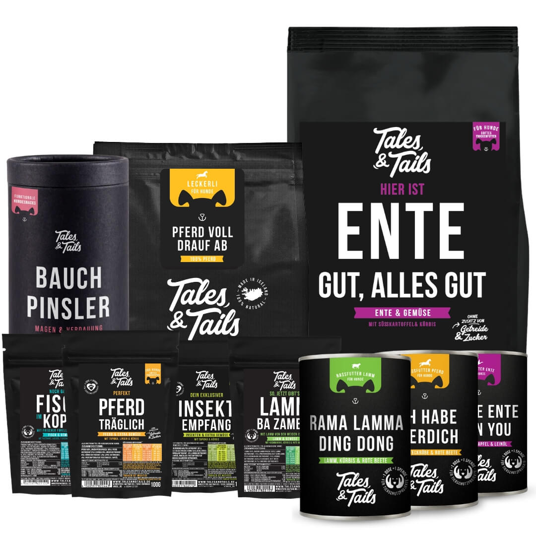 Kennenlernpaket