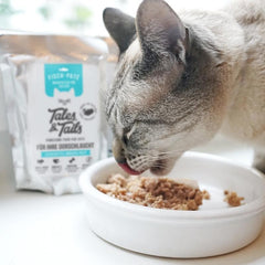 Probierpaket für Katzen mit Nassfutter und Leckerli