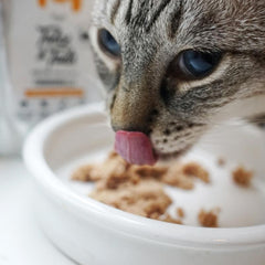 Probierpaket für Katzen mit Nassfutter und Leckerli