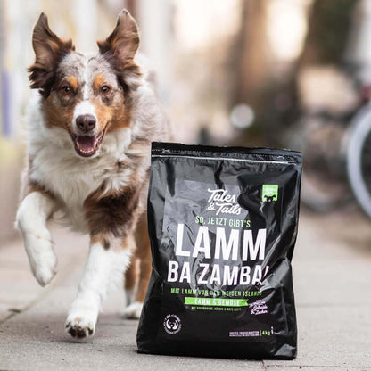 Abo - LammBa Zamba! - softes Trockenfutter mit Lamm für Hunde