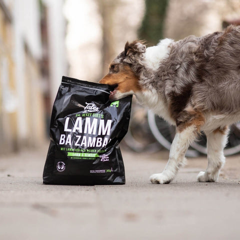 Abo - LammBa Zamba! - softes Trockenfutter mit Lamm für Hunde