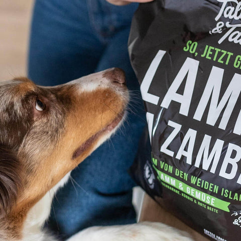 Abo - LammBa Zamba! - softes Trockenfutter mit Lamm für Hunde