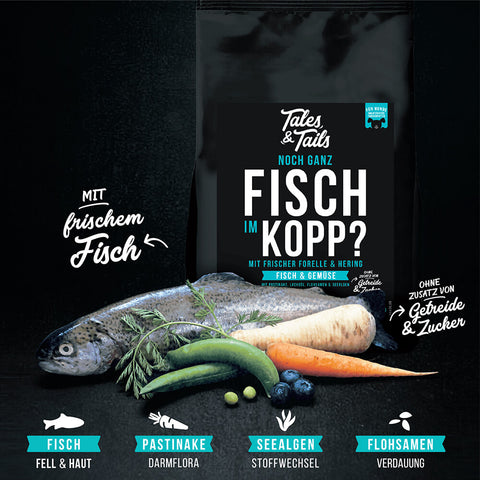 Trockenfutter mit Fisch für Hunde